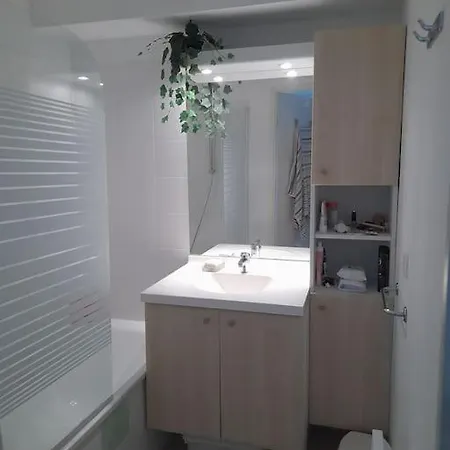 Apartment T2 Equipe Avec Piscine Sur Cote Oceane *